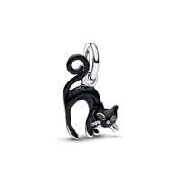 Charm Pandora in Argento 794769C01